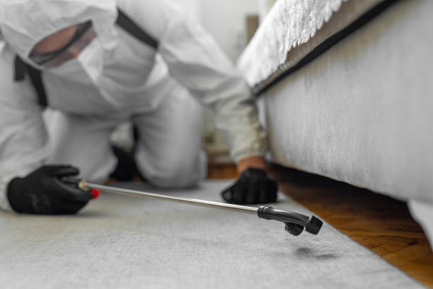 Professional Bed Bug Control technician working in Newton County County, MO